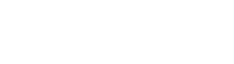 Anikan Logo